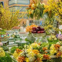 nowruz celebrations orange county 2017 019 nowruz celebrations orange county 2017 019