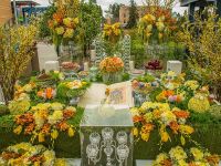 nowruz celebrations orange county 2017 023