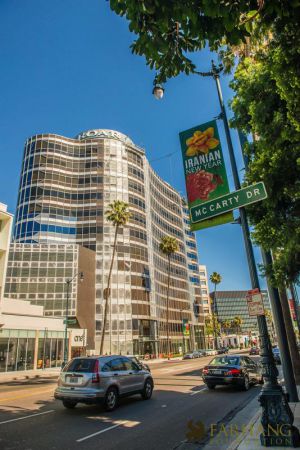 nowruz in beverly hills 017