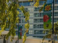 nowruz in beverly hills 018