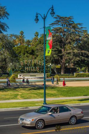 nowruz in beverly hills 029