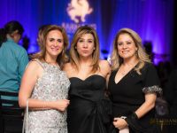 farhangs 8th annual fundraising gala 2018 036