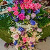 Farhang s Nowruz at the Pacific Symphony 107 Farhang s Nowruz at the Pacific Symphony 107