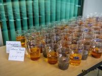 Feasting Iranian Style 044