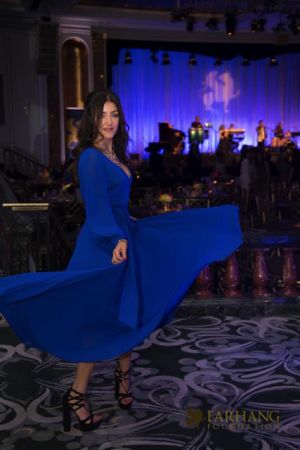 Farhang s 9th Annual Fundraising Gala 235