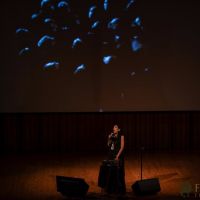 The Un Private Collection Shirin Neshat 13 The Un Private Collection Shirin Neshat 13