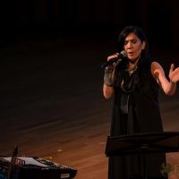 The Un Private Collection Shirin Neshat 18 The Un Private Collection Shirin Neshat 18