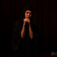 The Un Private Collection Shirin Neshat 60 The Un Private Collection Shirin Neshat 60