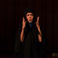 The Un Private Collection Shirin Neshat 65 The Un Private Collection Shirin Neshat 65