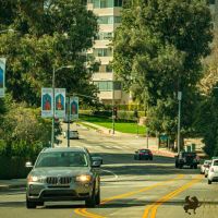 Nowruz 2021 street banners 24 Nowruz 2021 street banners 24