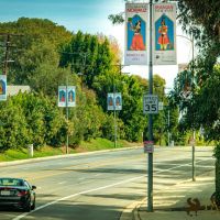 Nowruz 2021 street banners 25 Nowruz 2021 street banners 25
