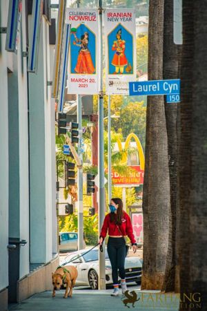 Nowruz 2021 street banners 37